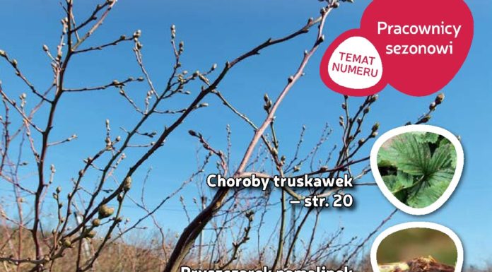 Jagodnik 3/2017 – już w sprzedaży