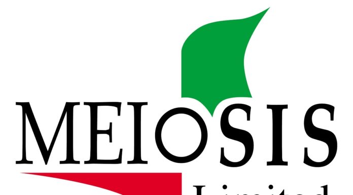 Senior Technical Manager – Job Description