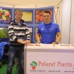 Szeroka oferta odmian truskawek z Poland Plants