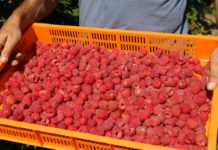 Będą kary za nabywanie produktów bez umów