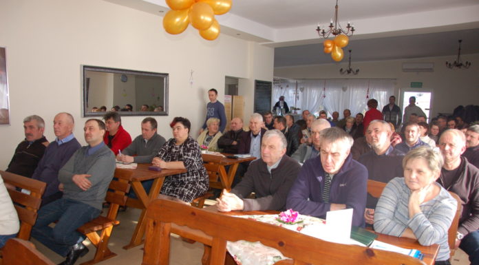 Jagodowe przygotowania do nadchodzącego sezonu (cz. I) – maliny