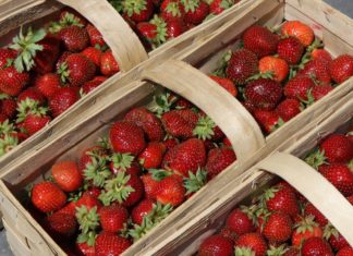 Sprzedaż polskich mrożonych truskawek