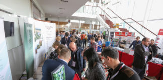 Borówkowe wyzwania na Międzynarodowej Konferencji Borówkowej 2018