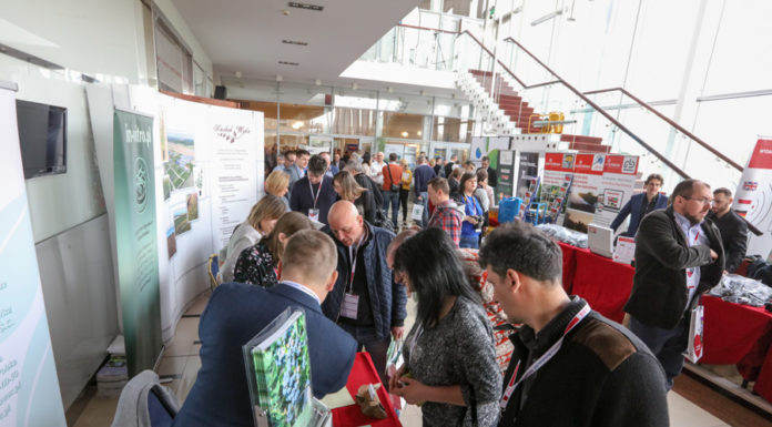 Borówkowe wyzwania na Międzynarodowej Konferencji Borówkowej 2018