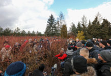 Cięcie borówki – 2 filmy