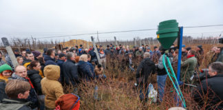 Wiosną na plantacjach borówki
