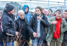 Borówka amerykańska – zalecenia uprawowe przed sezonem