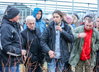 Borówka amerykańska – zalecenia uprawowe przed sezonem