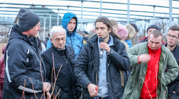 Borówka amerykańska – zalecenia uprawowe przed sezonem