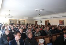 Jak pomóc truskawkom wiosną?