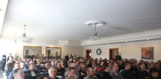 Jak pomóc truskawkom wiosną?