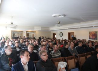 Jak pomóc truskawkom wiosną?