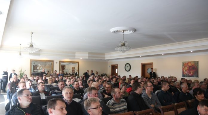 Jak pomóc truskawkom wiosną?