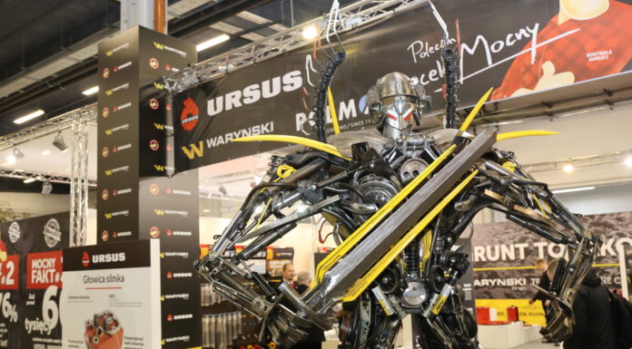 Maszyny też dla jagodowych