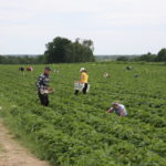 jaogdnik_4_201718