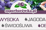 superborowka_marzec2017