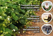 Jagodnik 4/2017 – już w sprzedaży