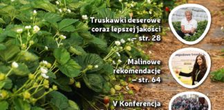 Jagodnik 4/2017 – już w sprzedaży