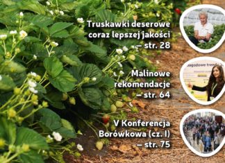 Jagodnik 4/2017 – już w sprzedaży