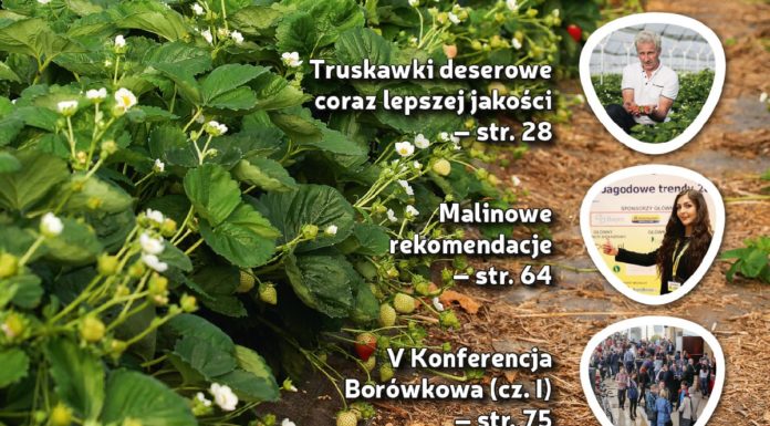 Jagodnik 4/2017 – już w sprzedaży