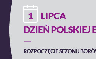 Liczniki Dnia Polskiej Borówki do pobrania