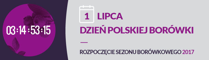 Liczniki Dnia Polskiej Borówki do pobrania