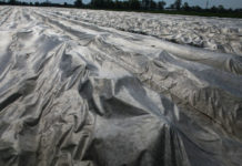 Ubezpieczenia upraw z dotacją państwa