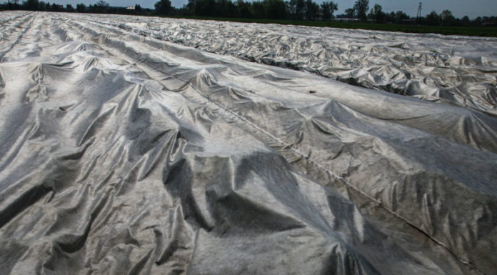 Ubezpieczenia upraw z dotacją państwa