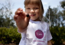 Dzień Polskiej Borówki, edycja 2017