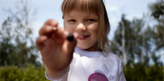 Dzień Polskiej Borówki, edycja 2017