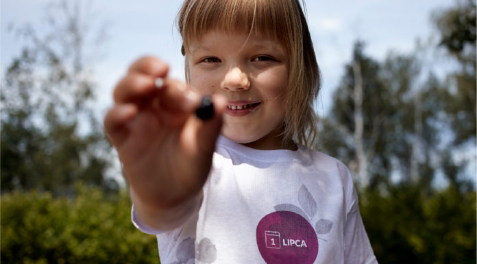 Dzień Polskiej Borówki, edycja 2017