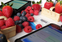 Jak usprawnić zbiory i rozliczać pracowników?