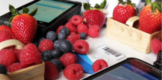 Jak usprawnić zbiory i rozliczać pracowników?