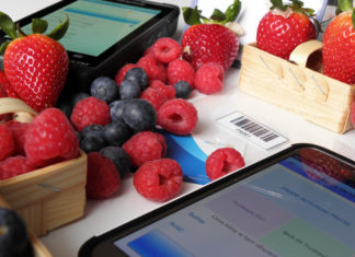 Jak usprawnić zbiory i rozliczać pracowników?