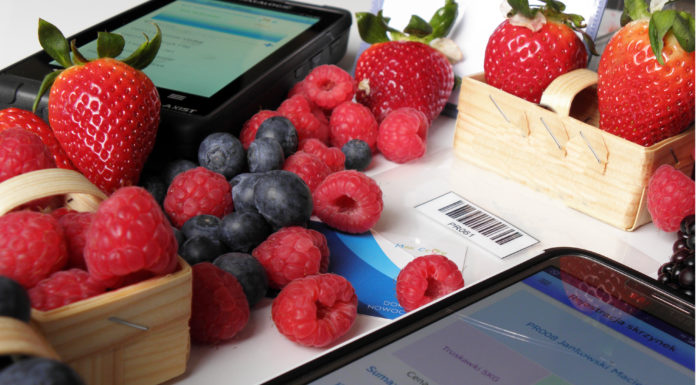 Jak usprawnić zbiory i rozliczać pracowników?