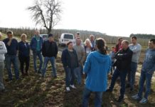 Wiosenne zalecenia dla truskawek