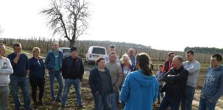 Wiosenne zalecenia dla truskawek