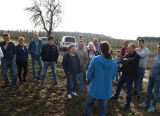 Wiosenne zalecenia dla truskawek