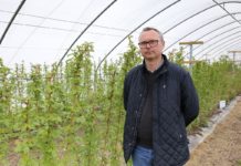 Nawożenie malin na starcie – Malinowe Factory 2017