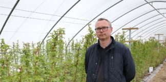 Nawożenie malin na starcie – Malinowe Factory 2017