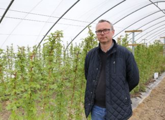 Nawożenie malin na starcie – Malinowe Factory 2017