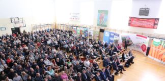 JAGODOWE TRENDY 2019