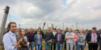 Zalecenia dla borówki na okres kwitnienia, cz. I