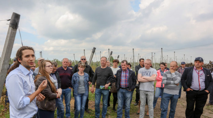 Zalecenia dla borówki na okres kwitnienia, cz. I