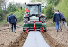 Formowanie zagonów i ich ściółkowanie