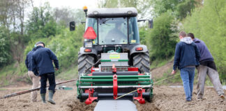 Formowanie zagonów i ich ściółkowanie