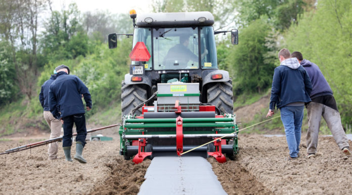 Formowanie zagonów i ich ściółkowanie