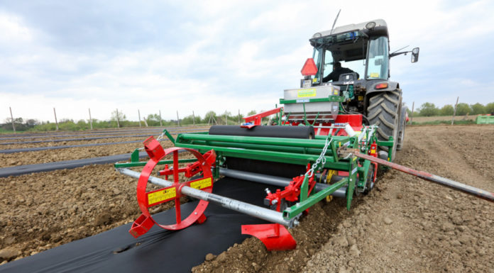 Nowa usługa formowania zagonów i ich ściółkowania