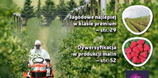 Jagodnik 5/2017 już w sprzedaży