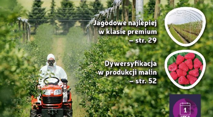Jagodnik 5/2017 już w sprzedaży